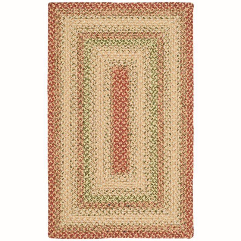 Braided BRD303 Hand Woven Accent Rug - Rust/Multi - 2'x3' - Safavieh.