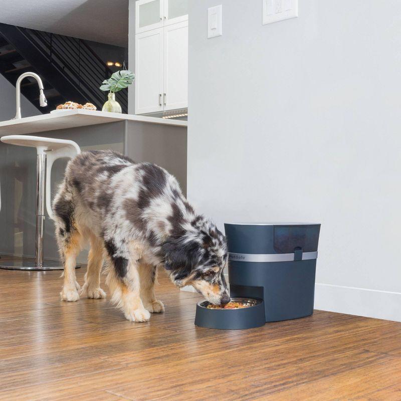 PetSafe Smart Feed Automatic Dog and Cat Feeder - Blue