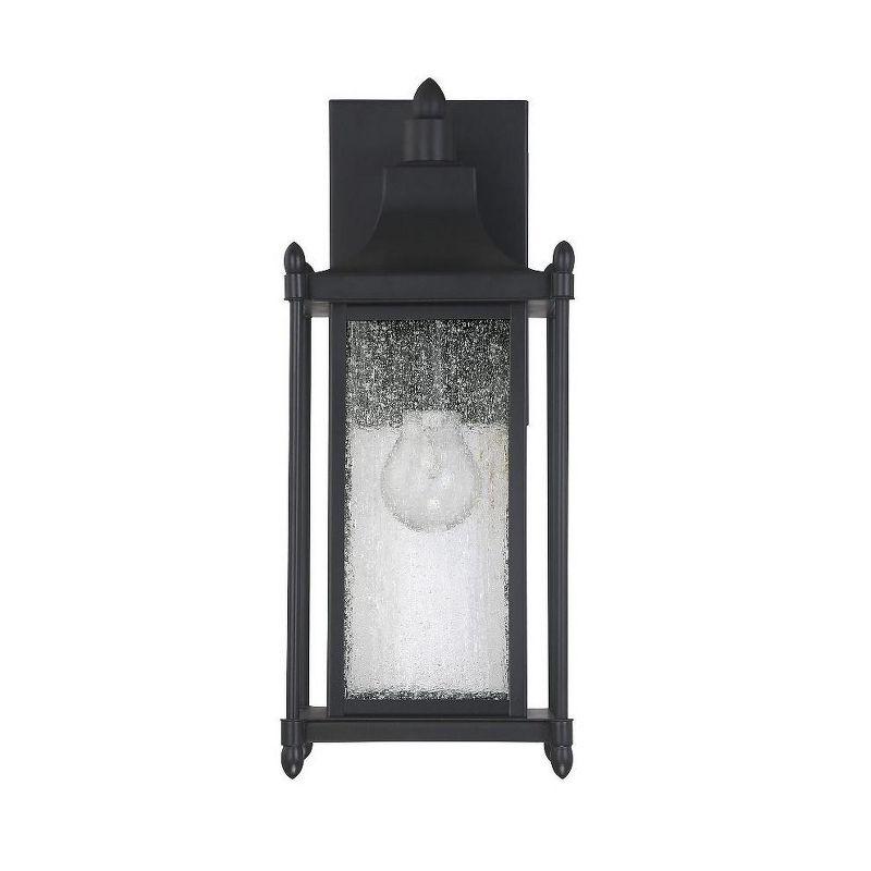 Dunnmore 1-Light Outdoor Wall Lantern in Black