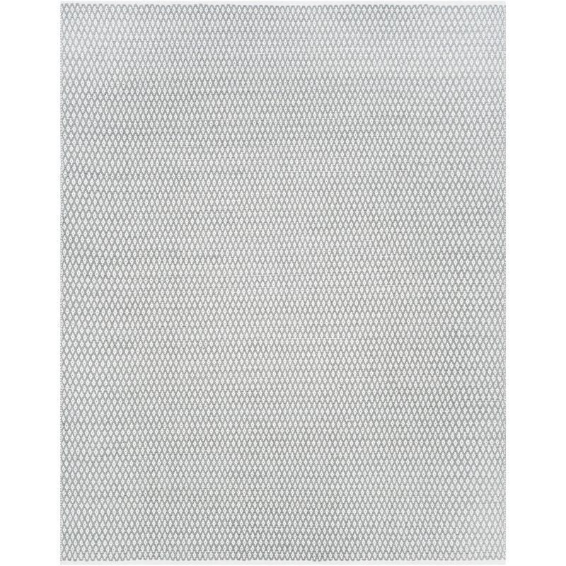 Boston BOS685 Power Loomed Area Rug  - Safavieh