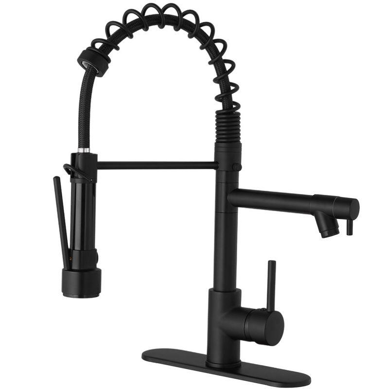 Pull Down Single Handle Kitchen Faucet with Accessories