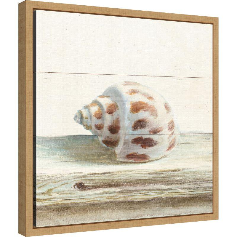 Amanti Art Driftwood Shell II by Danhui Nai Canvas Wall Art Print Framed 16 x 16-in.