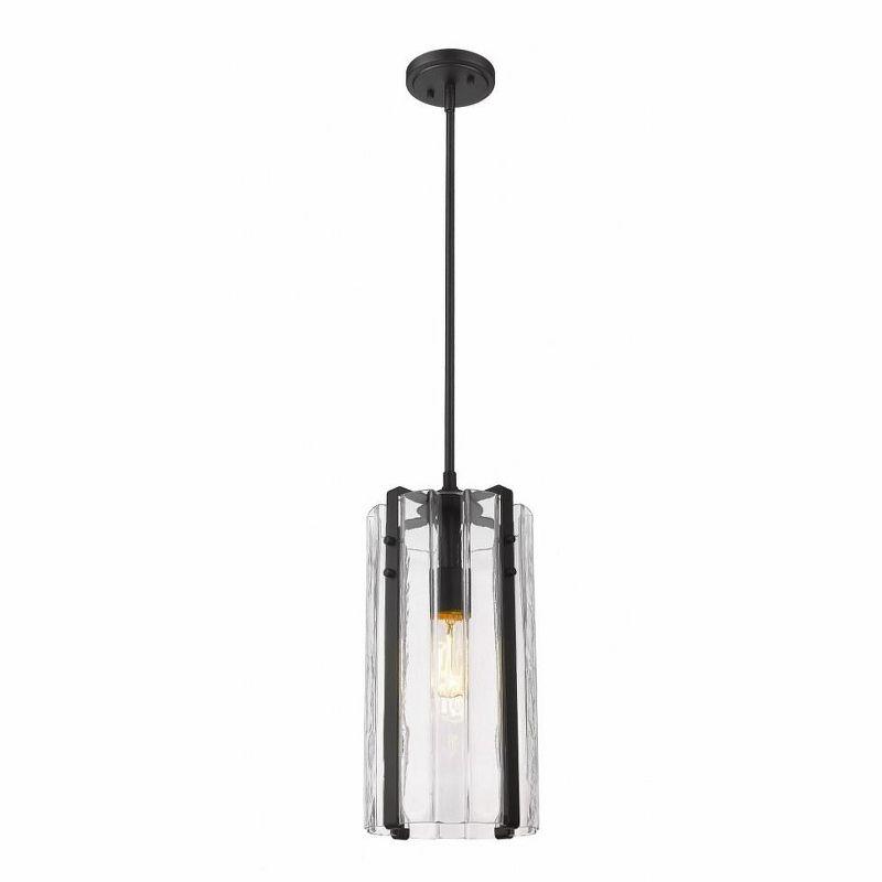 Z-Lite Alverton 1 - Light Pendant in  Matte Black