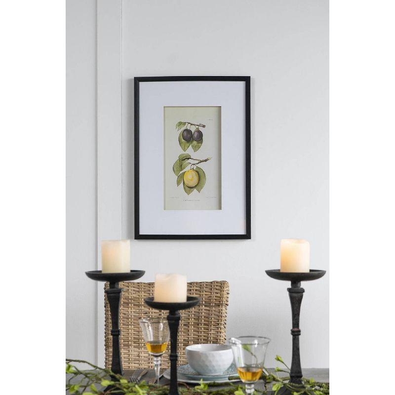 Set of 2 Smithsonian Fruit Framed Wall Arts - A&B Home: Transitional Decor, Vertical Orientation, Includes Mounting Hardware