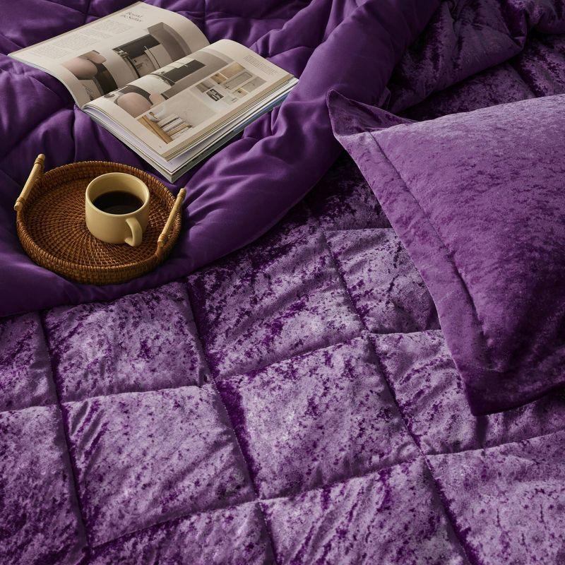 Intelligent Design Felicia Crushed Velvet Comforter Set with Throw Pillow