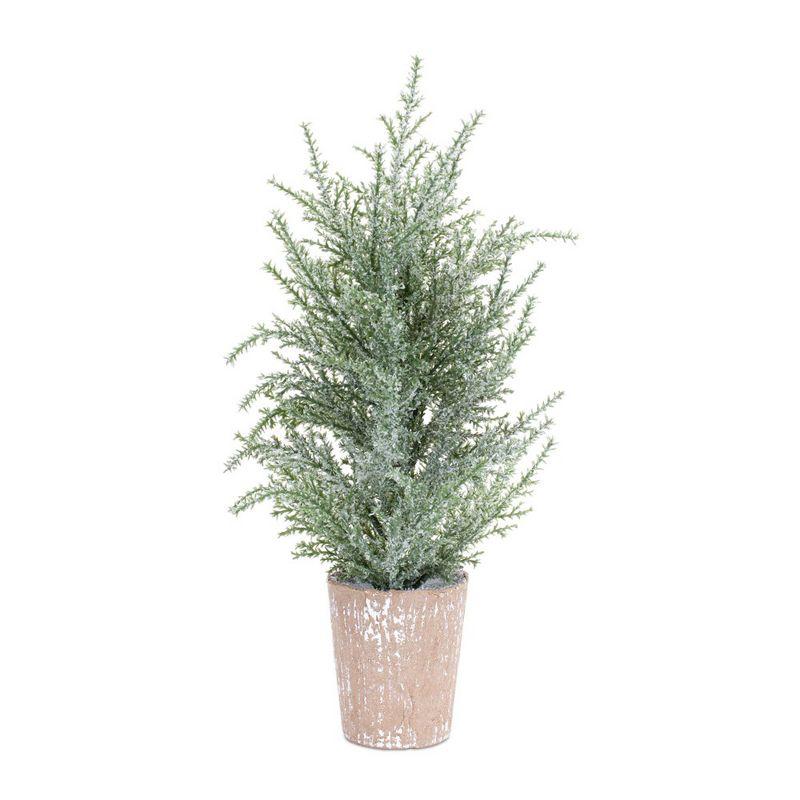 Frosted Potted Pine Tabletop Christmas Trees with Lights, Set of 4