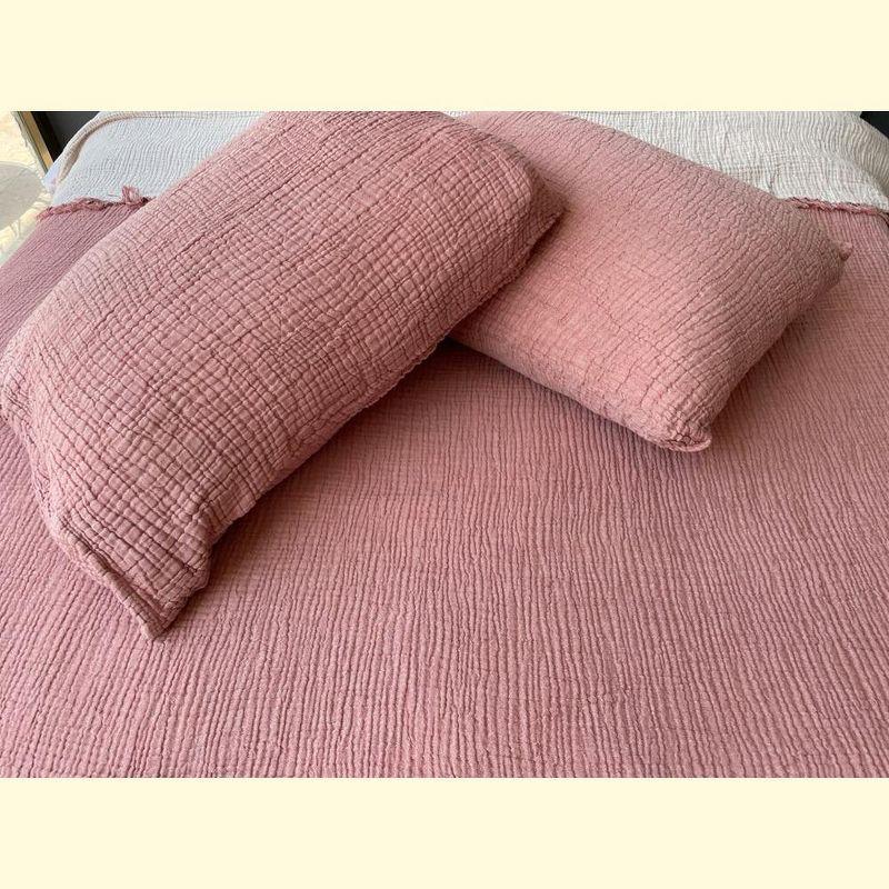 sussexhome Muslin Shams Turkish Cotton Pillow Sham (Set of 2)