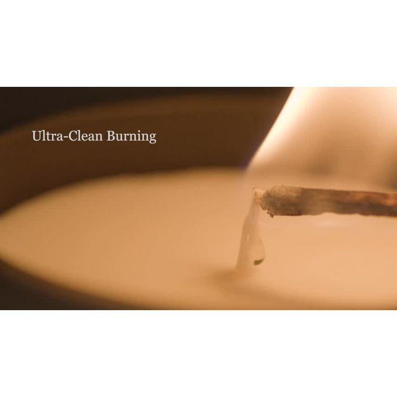 Benevolence LA Premium All Natural Soy 3 Wick Candles In Matte Black Glass Jar - Fig Tree Scent (14.5 oz)