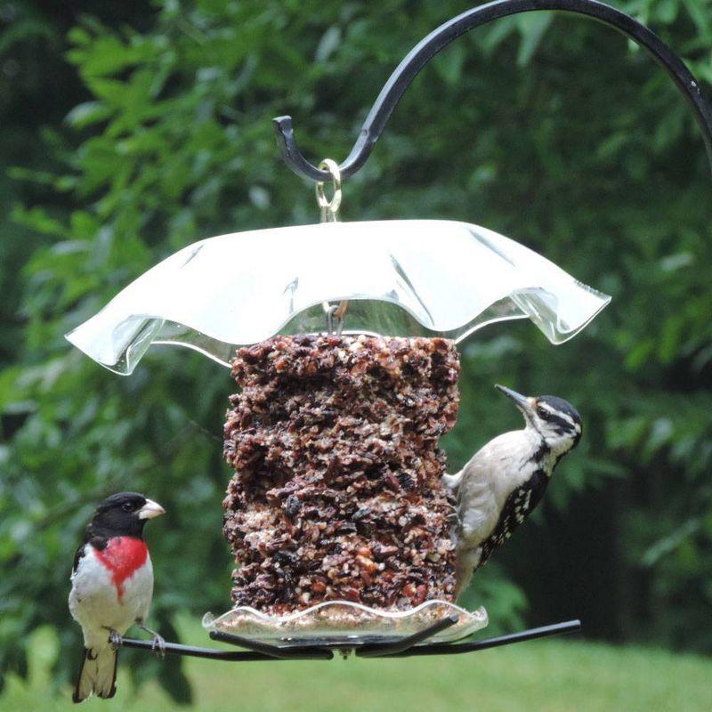 Clear Acrylic Hanging Seed Cylinder Bird Feeder