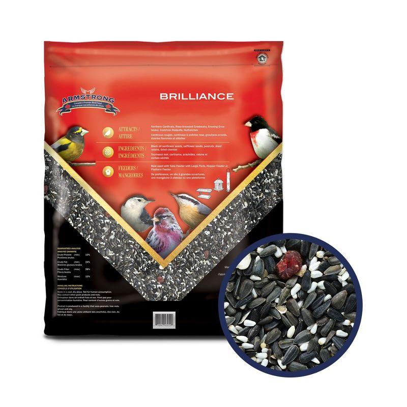 Armstrong Wild Bird Food Royal Jubilee Brilliance Blend, 10lbs