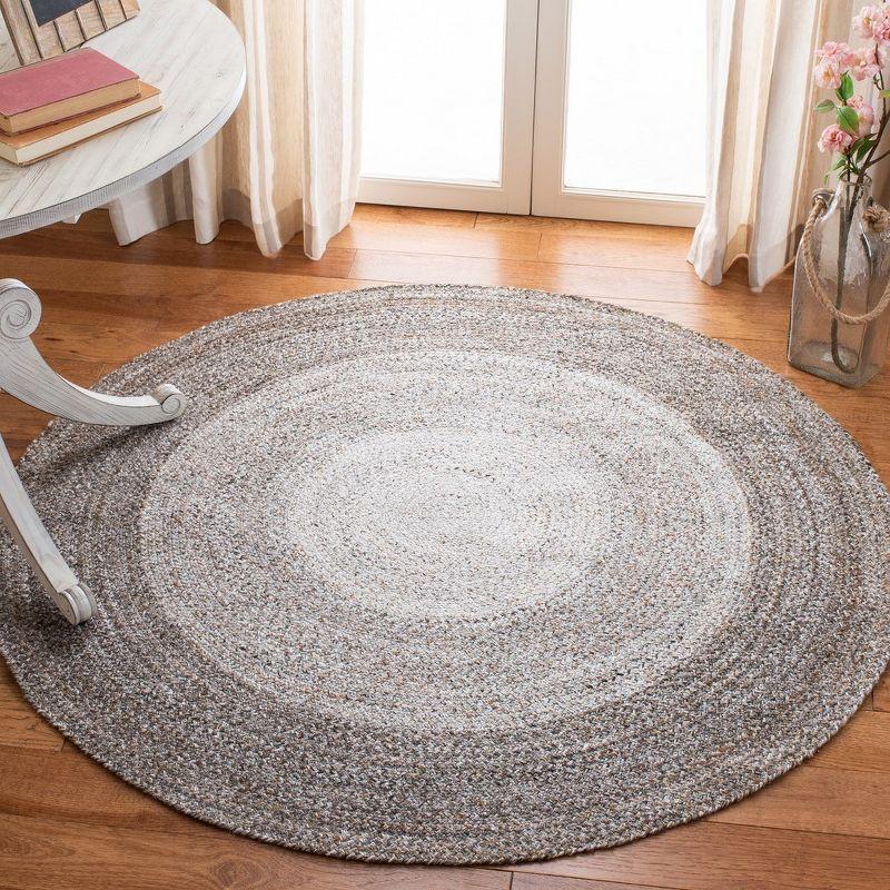 Braided BRD802 Hand Woven Area Rug  - Safavieh