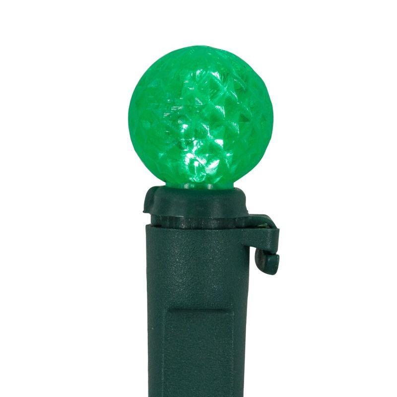 Northlight Seasonal LED G12 Berry Christmas Lights - 16' Green Wire - 50 Ct