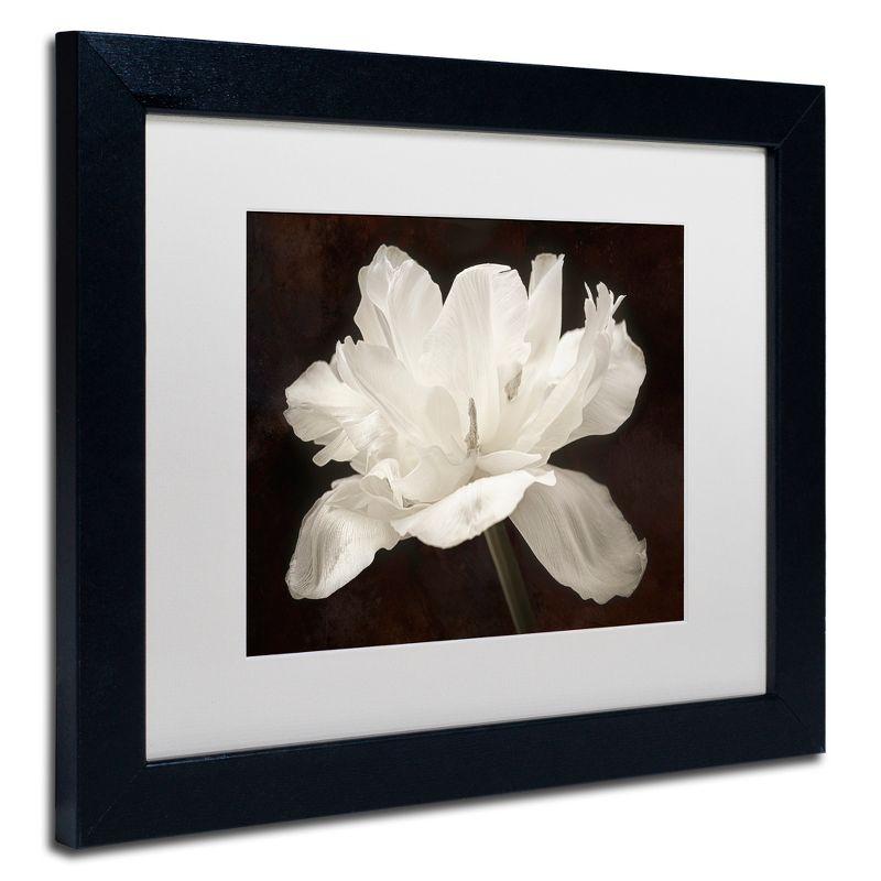 White Tulip Floral Print in Black Acrylic Frame