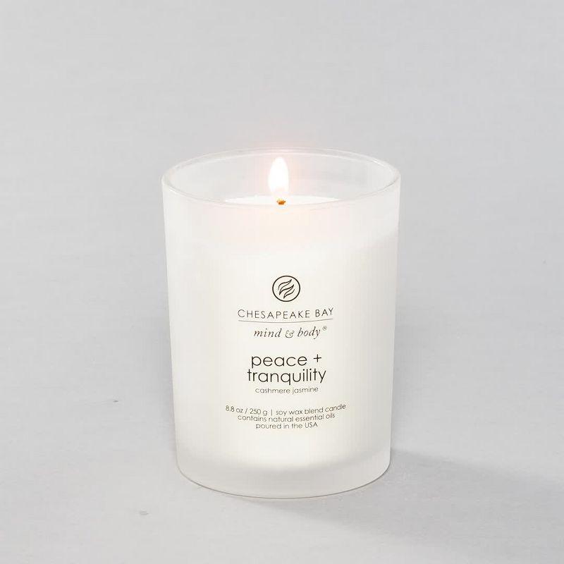 Frosted Glass Peace + Tranquility Lidded Jar Candle White 8.8oz - Mind & Body by Chesapeake Bay Candle: Soy Wax Blend with Essential Oils