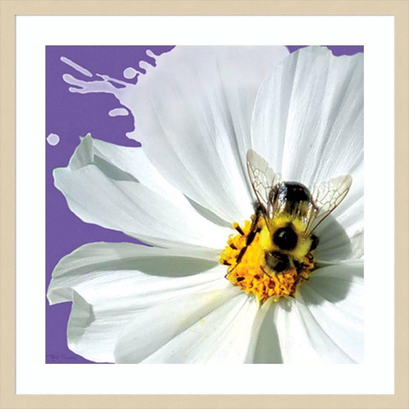 Amanti Art 25"x25" Flower Pop IV by Marie Elaine Cusson Wood Framed Wall Art Print