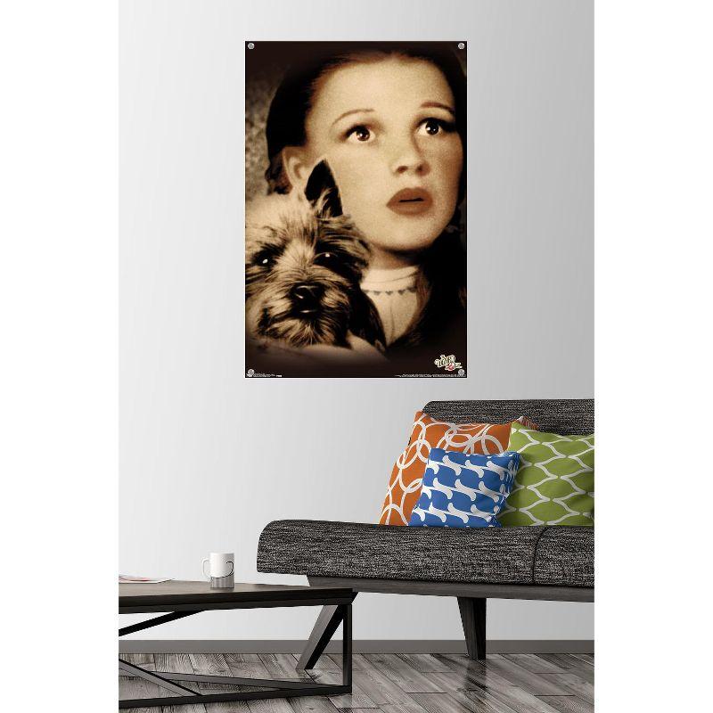Trends International The Wizard Of Oz - Duo Unframed Wall Poster Print Clear Push Pins Bundle 22.375" x 34"