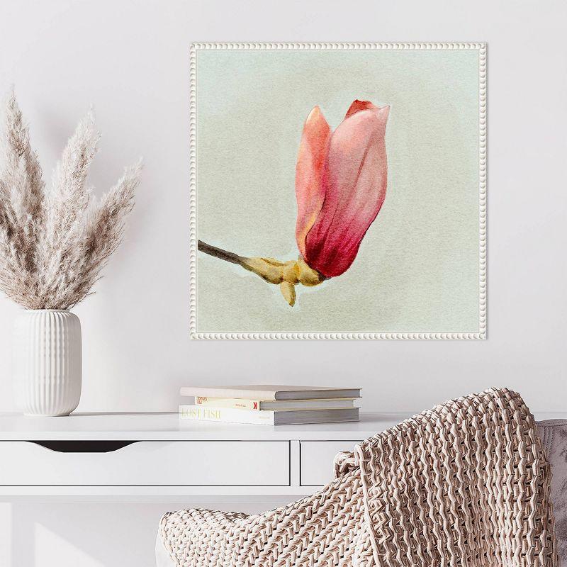 Magnolia Bud I White Floater Frame Canvas Wall Art