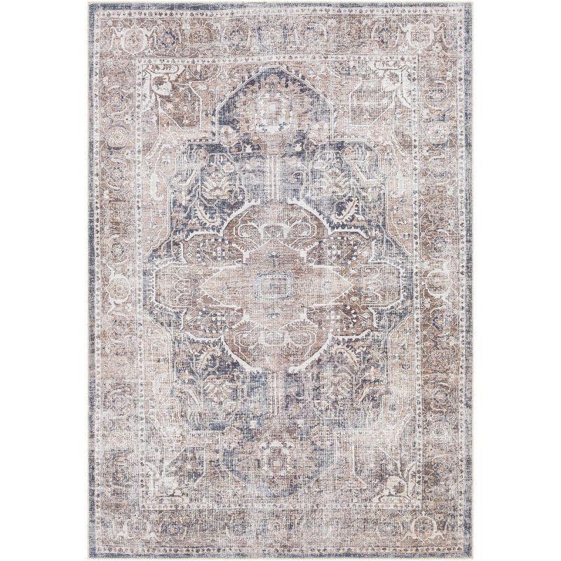 Caspian Boho Vintage-Inspired Gray Chenille 9' x 12' Area Rug