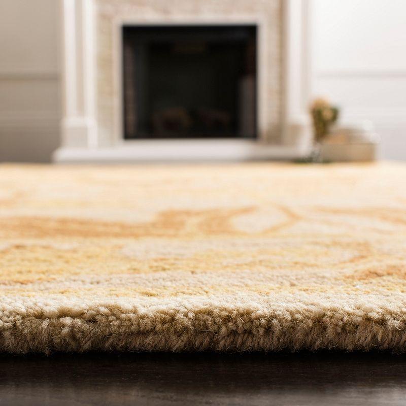 Anatolia AN541 Hand Tufted Indoor Area Rug - Beige/Gold - 6'x9' - Safavieh
