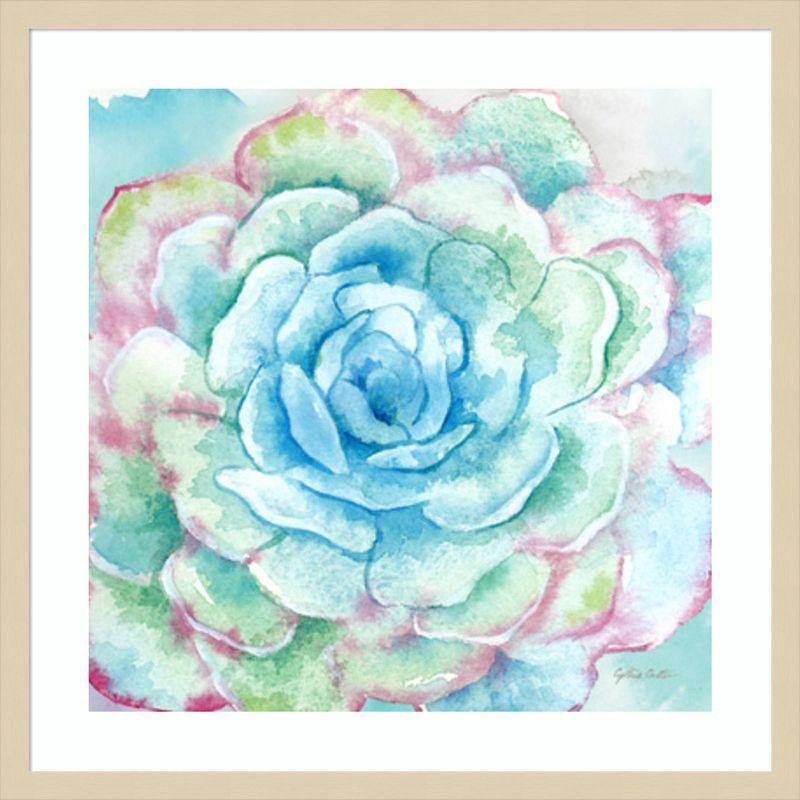 Amanti Art Sweet Succulents I by Cynthia Coulter Framed Wall Art Print