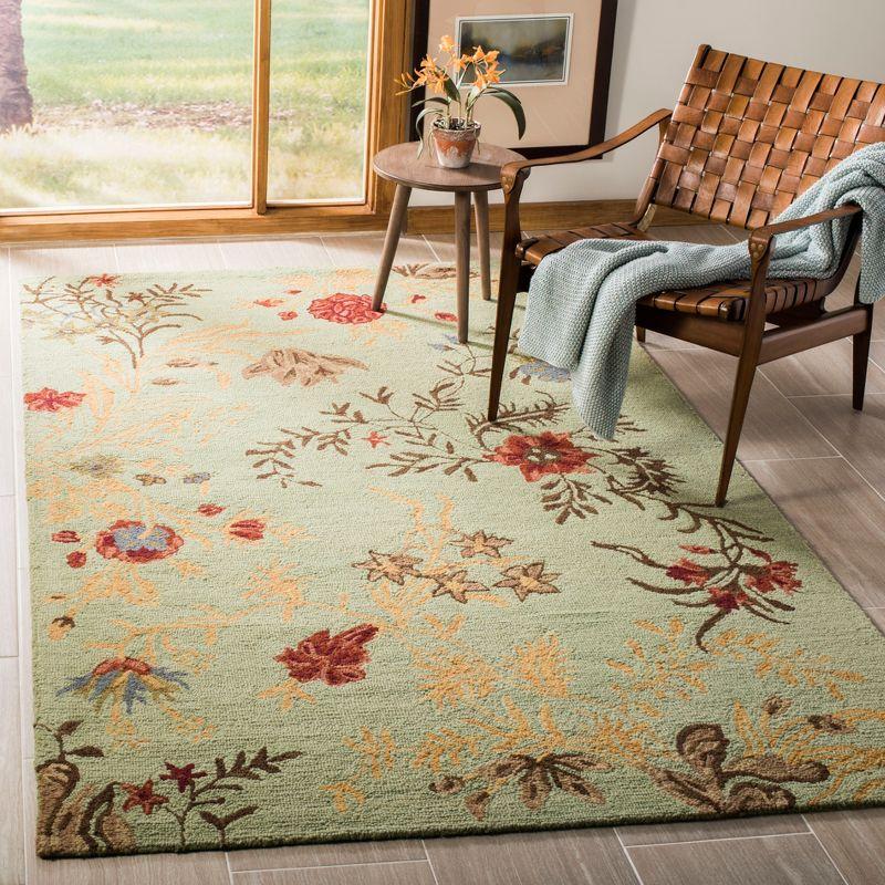 Blossom BLM919 Hand Hooked Indoor Accent Rug - Light Green/Multi - 3'x5' - Safavieh