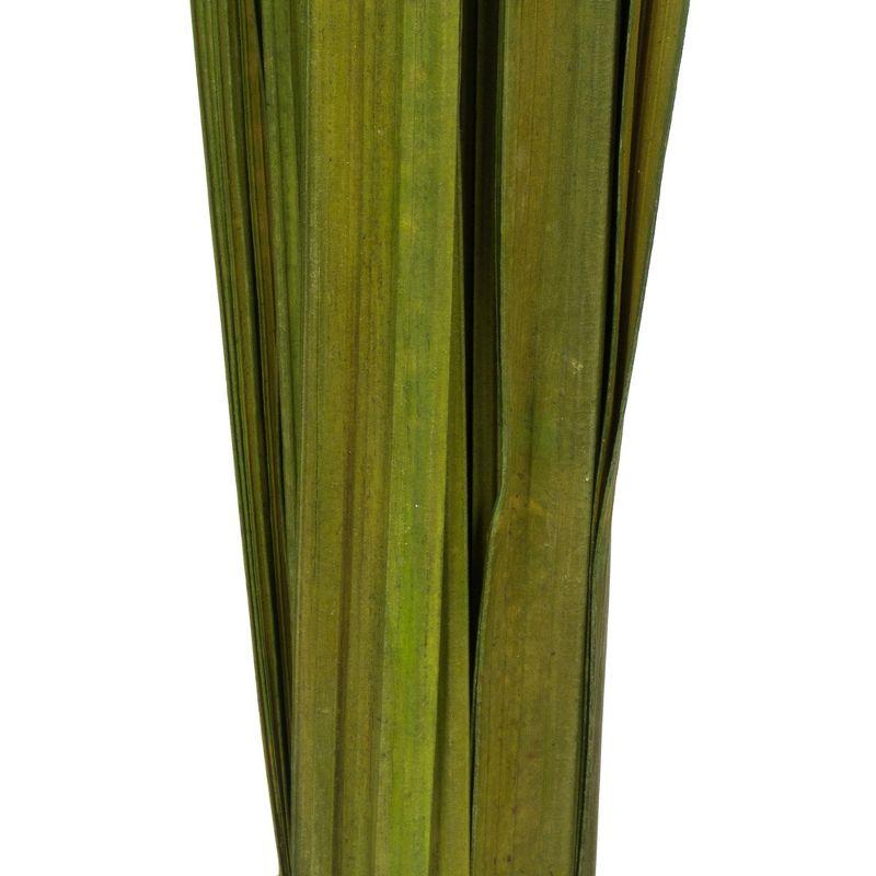 Vickerman Sable Grass, Dried