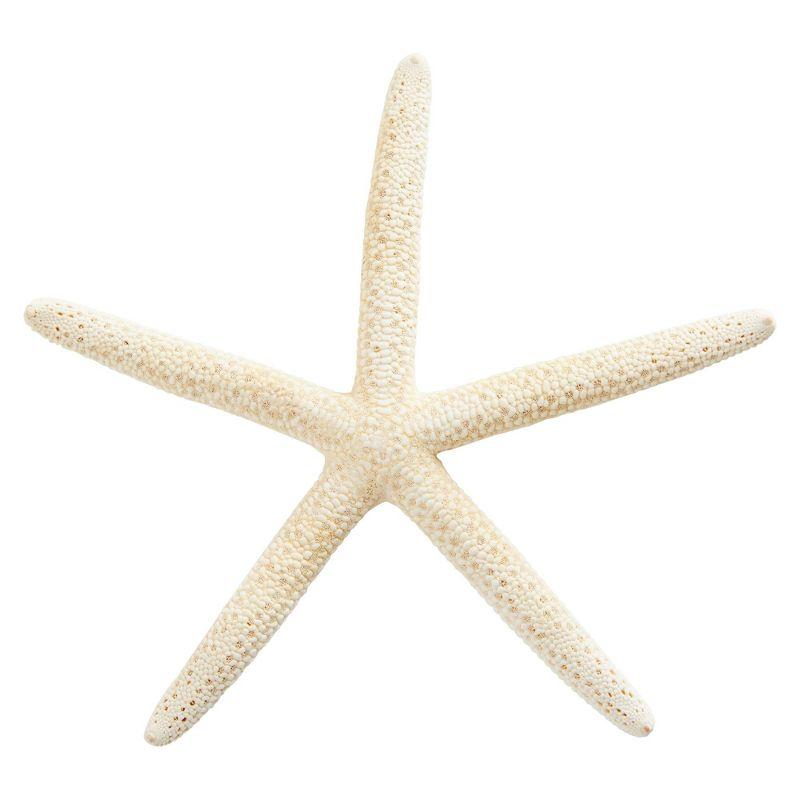 Juvale 12 Pack White Finger Starfish for Nautical Décor, Vase Filler, Craft Supplies (4 to 6 in)