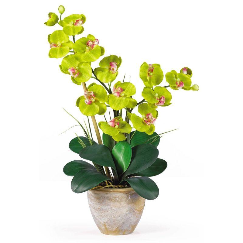 Nearly Natural Double Phalaenopsis Silk Orchid Flower Arrangement, Beauty