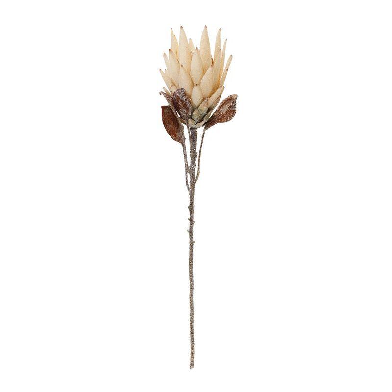 Melrose Protea Flower Stem (Set of 2)