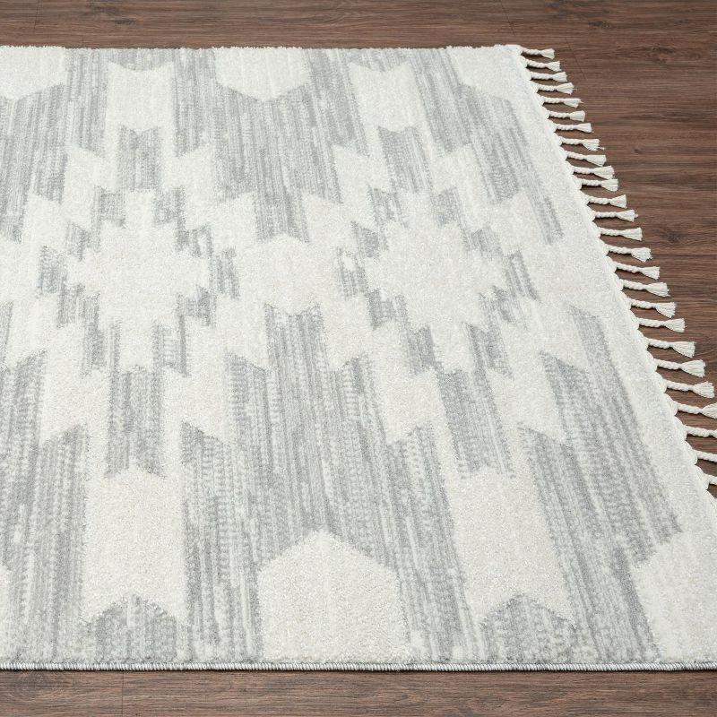 Geometric Braided Fringe 5' x 7' Gray Synthetic Area Rug