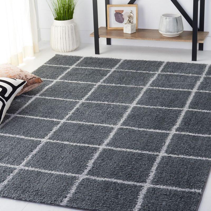 Norway 4' x 6' Gray Synthetic Shag Area Rug