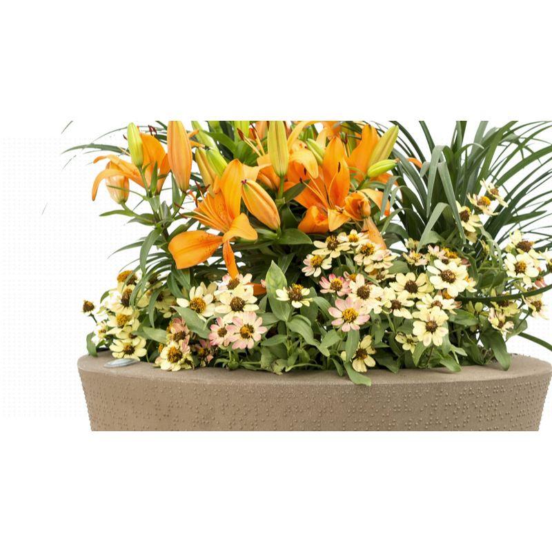 Crescent Garden Self-Watering Dot TruDrop Plastic Pot Planter