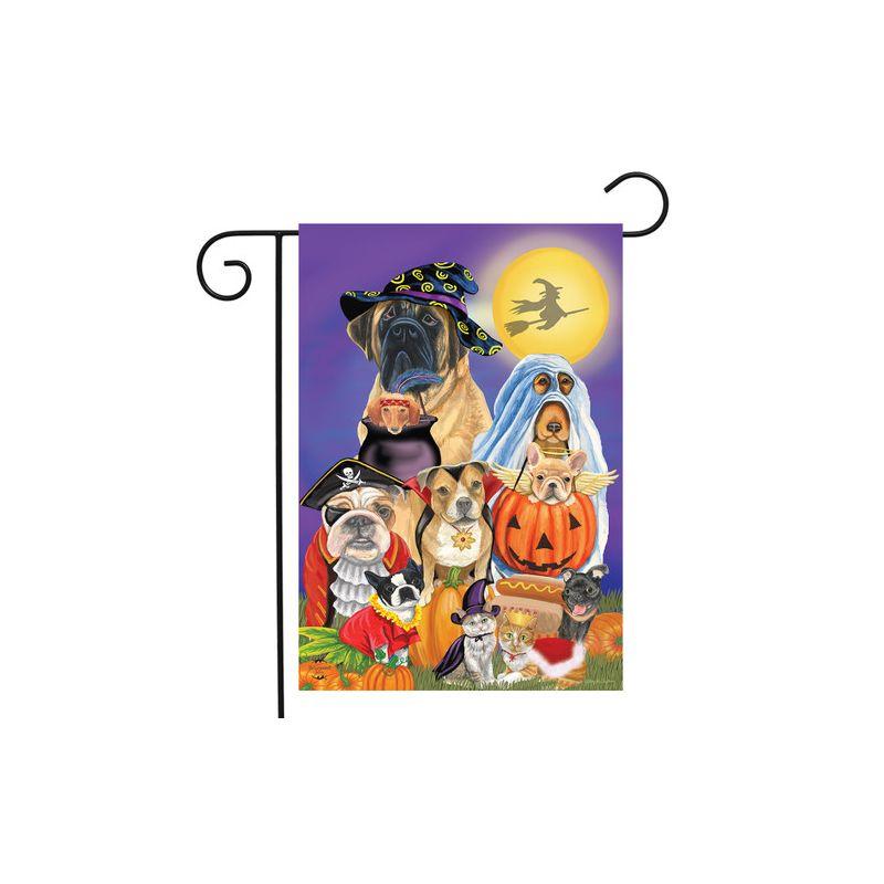 Briarwood Lane Garden Flag 12x18 For Outdoor Trick Or Treat Dogs Halloween For Halloween Garden Flag Flags For Outside