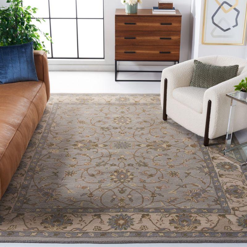 Heritage HG862 Hand Tufted Area Rug - Beige/Grey - 8'x10' - Safavieh.