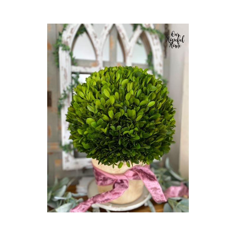 Nearly Natural 15-in Boxwood Ball Preserved Plant in Planter