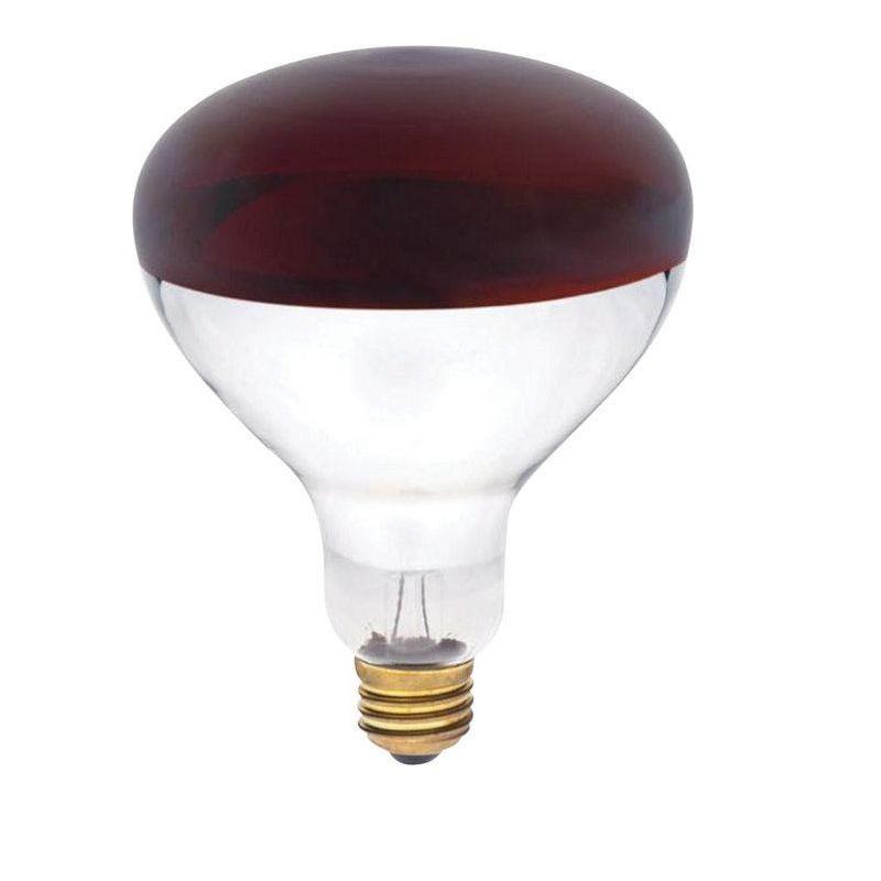 Westinghouse 250 W R40 Reflector/Heat Lamp Incandescent Bulb E26 (Medium) Red 1 pk