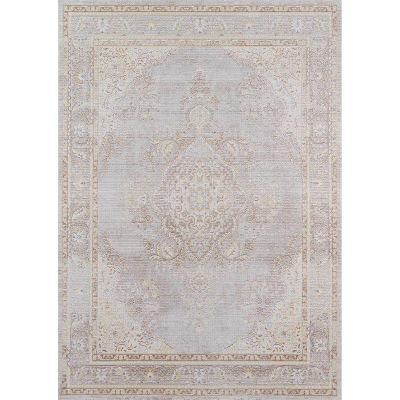 Momeni 5'3"x7'3" Isabella Freya Area Rug Gray