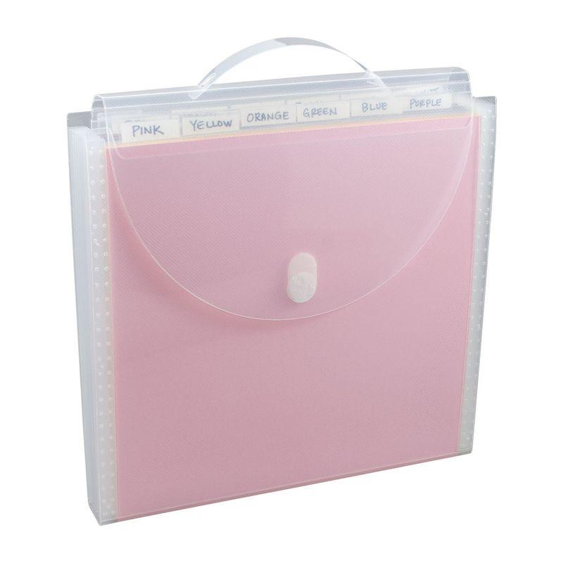 Clear Expandable Paper Organizer with 12 Pockets