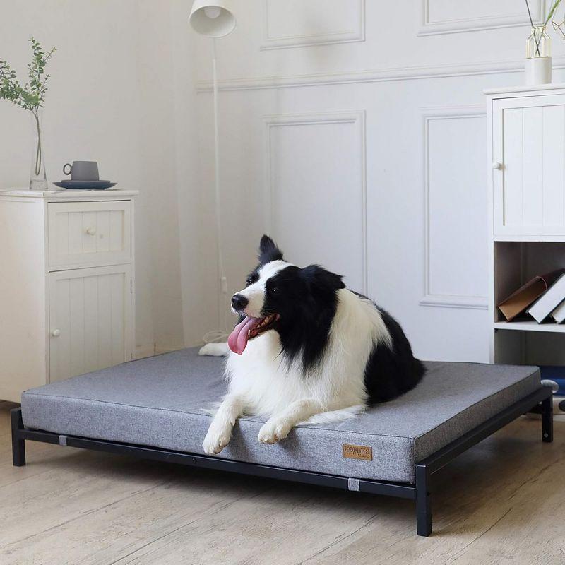 KOPEKS Elevated Foam Dog Bed - XL - Grey