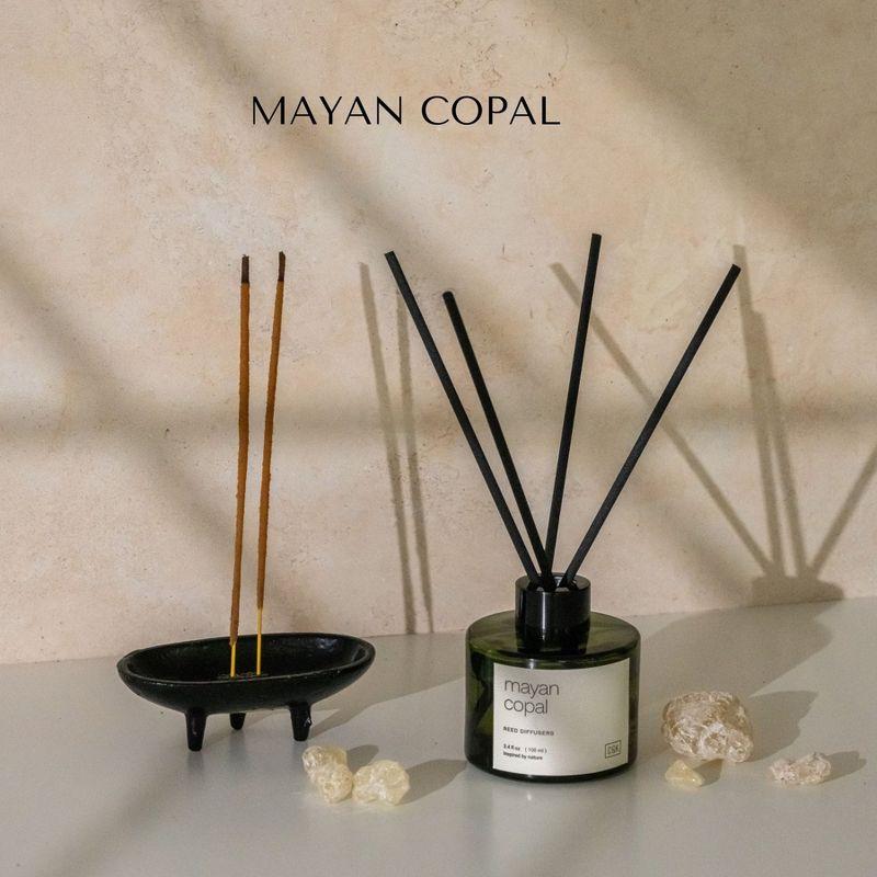 Craft & Kin Reed Diffuser Set For Home