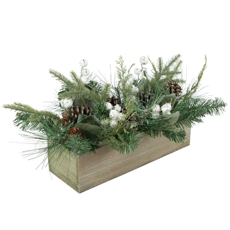 Festive Winter Elegance Potted Pine & Berry Tabletop Arrangement