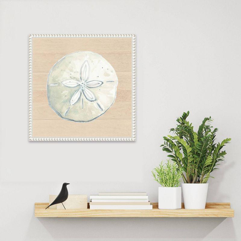 Amanti Art 16"x16" Sand Dollar on Wood Background by Patricia Pinto: Nautical Theme, Polystyrene Frame, Wall Decor