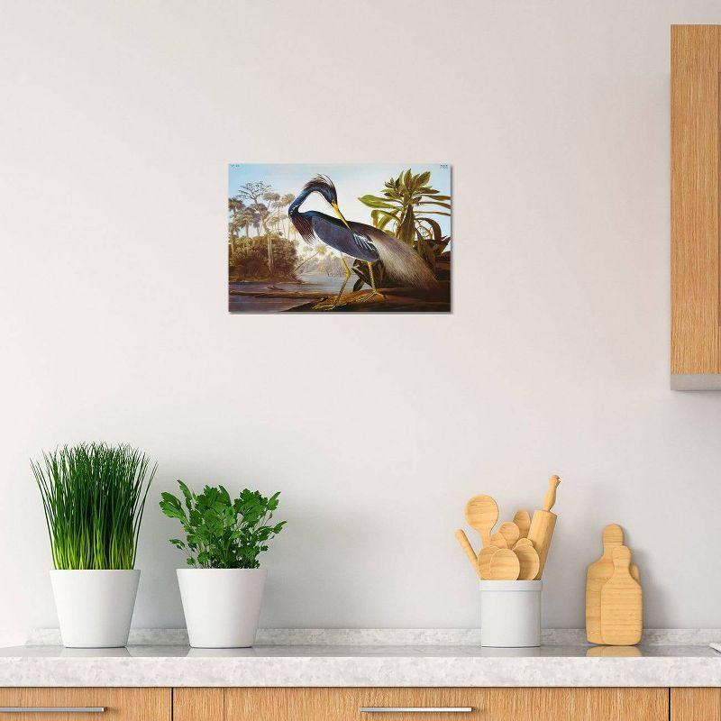 Louisiana Heron From "Birds of America" by John James Audubon Unframed Wall Canvas - iCanvas