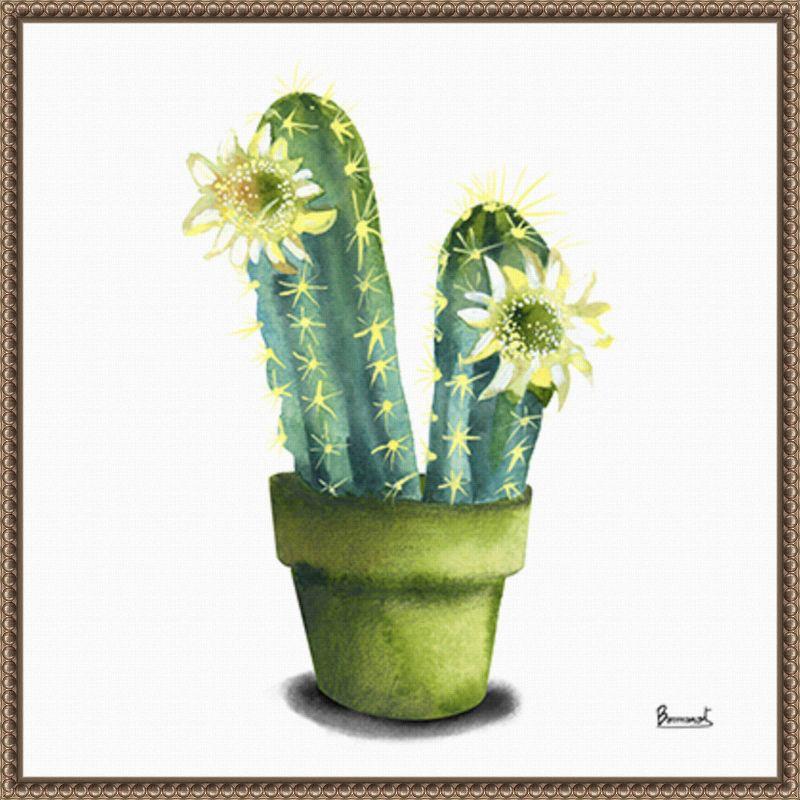 Amanti Art Cactus Flowers II by Bannarot Framed Canvas Wall Art Print