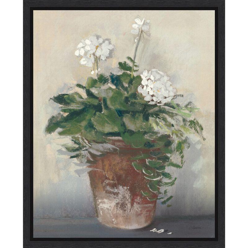 White Geraniums in Terracotta Pot Canvas Wall Art