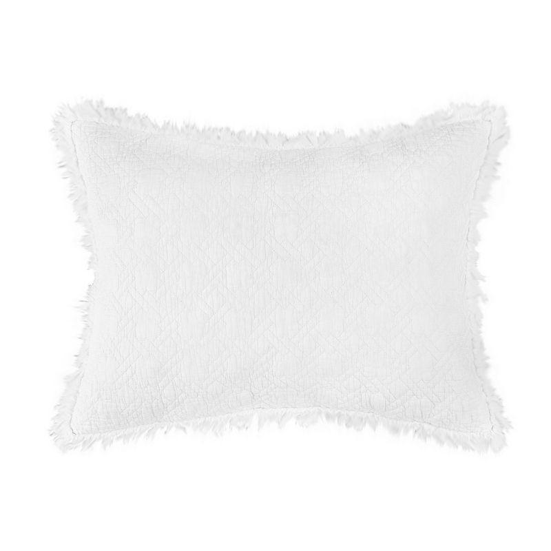 C&F Home 26" x 26" Trellis White Cotton Euro Sham Set - Machine Washable