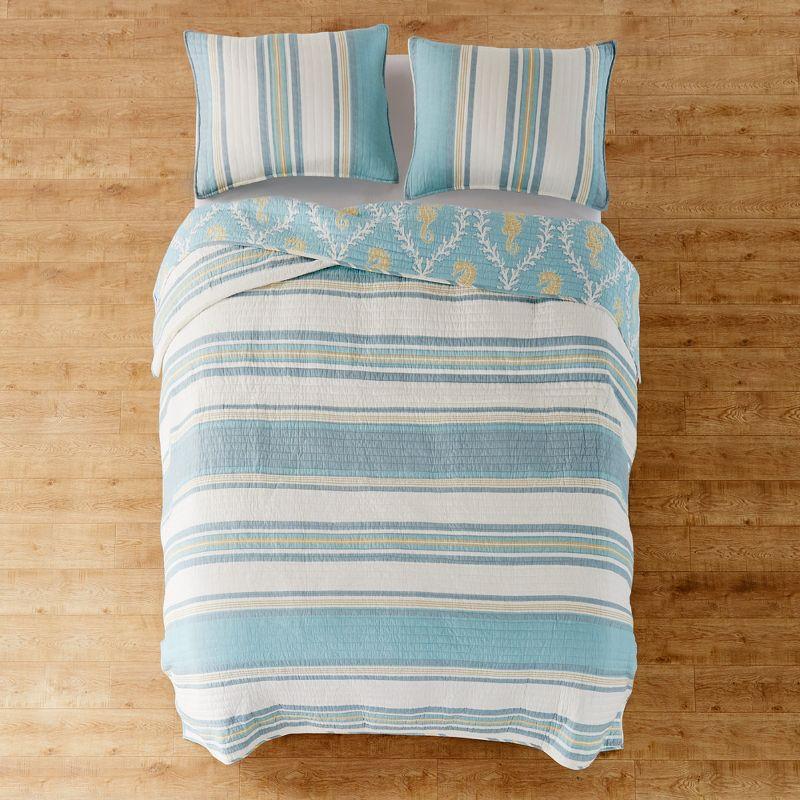 Coastal Charm Blue and Taupe Full Cotton Reversible Quilt Set