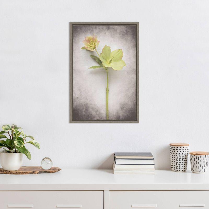 Amanti Art 16"x23" Vintage Hellebore Study II by Felicity Bradley Framed Canvas Wall Art Print: Modern Style, Polystyrene Frame