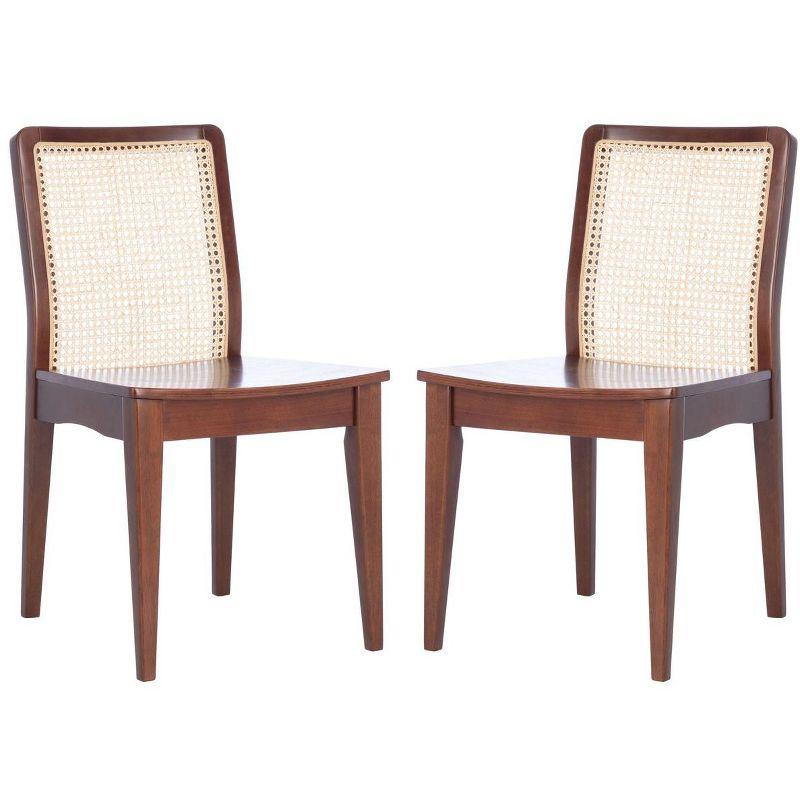 Benicio Coastal Dark Brown Rattan Dining Chair Set