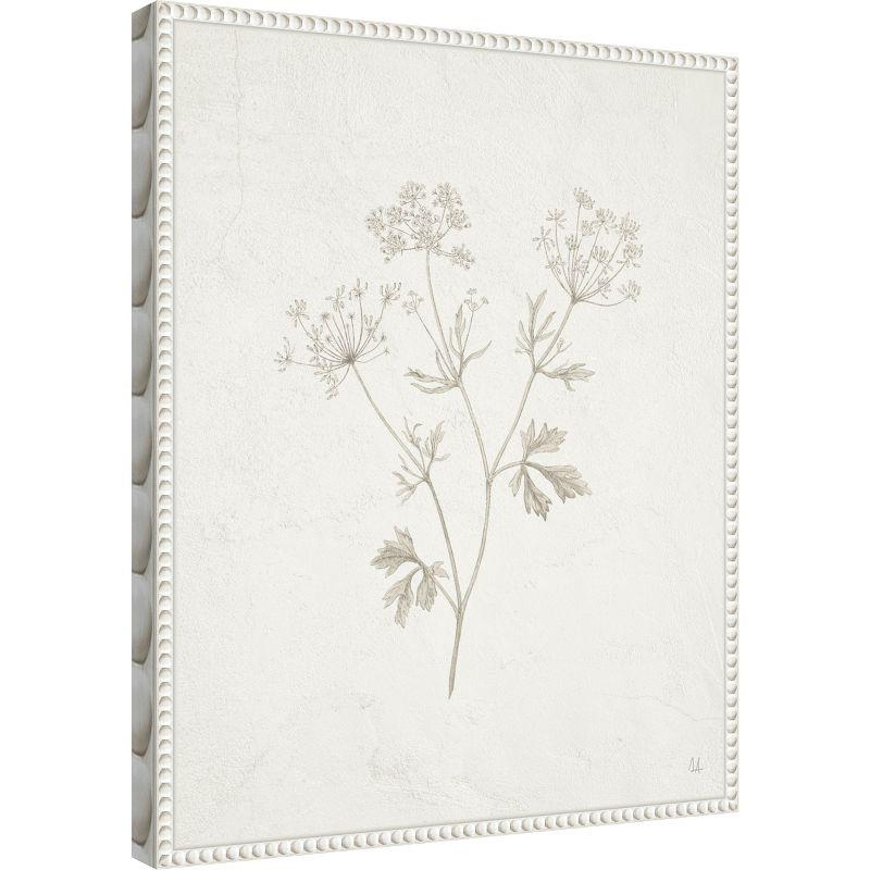 Amanti Art Plants from the Meadow IV by Sarah Adams Canvas Wall Art Print Framed 16 x 20-in.